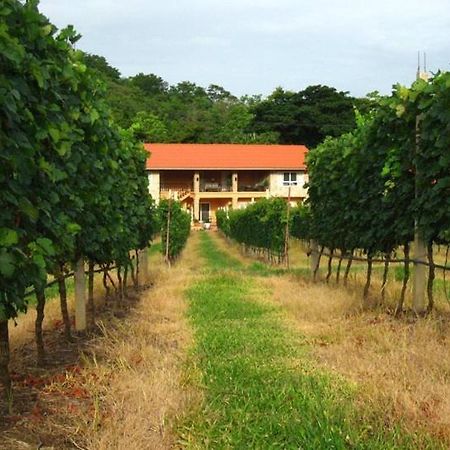 Granmonte Wine Cottage Phayayen Ngoại thất bức ảnh