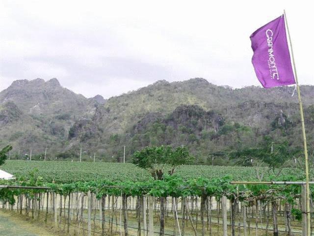 Granmonte Wine Cottage Phayayen Ngoại thất bức ảnh