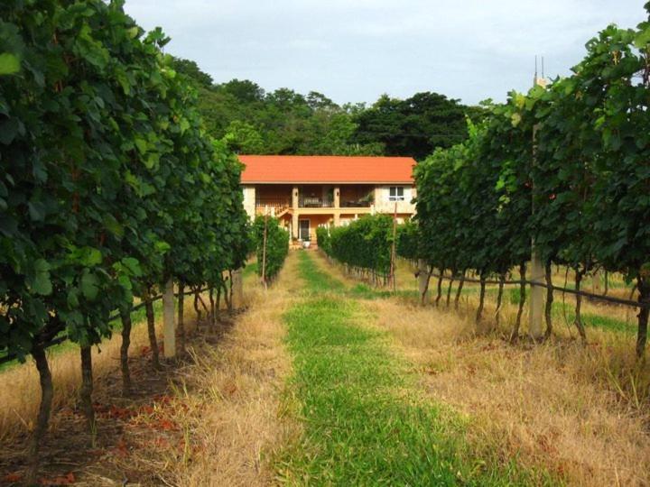 Granmonte Wine Cottage Phayayen Ngoại thất bức ảnh
