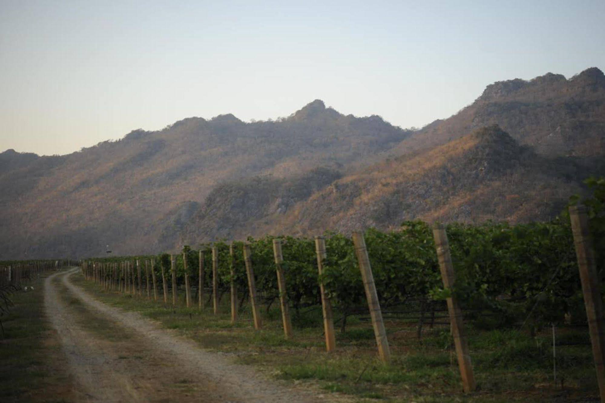 Granmonte Wine Cottage Phayayen Ngoại thất bức ảnh