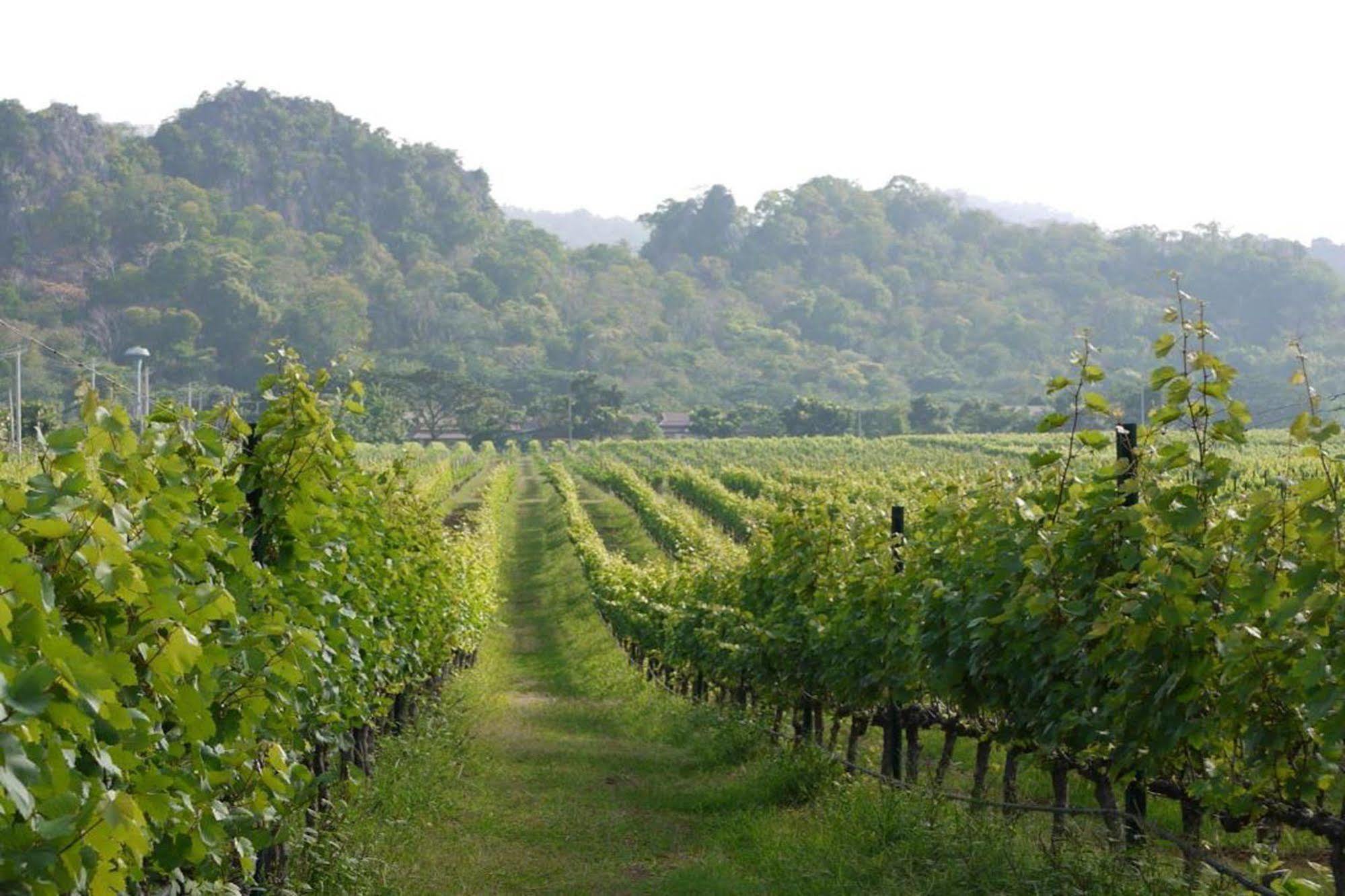 Granmonte Wine Cottage Phayayen Ngoại thất bức ảnh