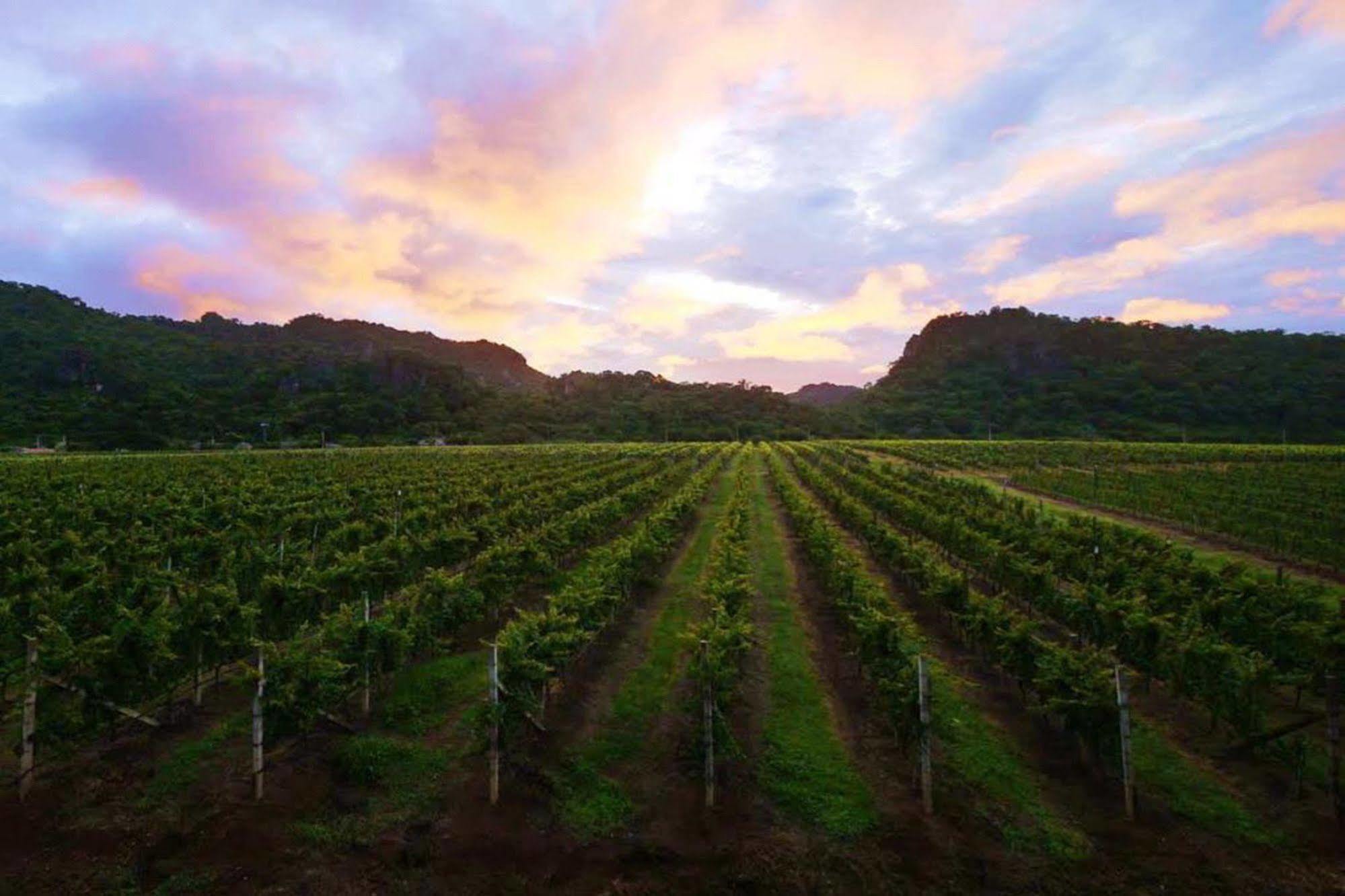 Granmonte Wine Cottage Phayayen Ngoại thất bức ảnh