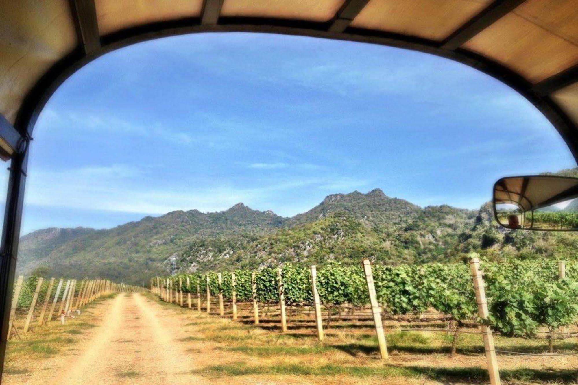 Granmonte Wine Cottage Phayayen Ngoại thất bức ảnh